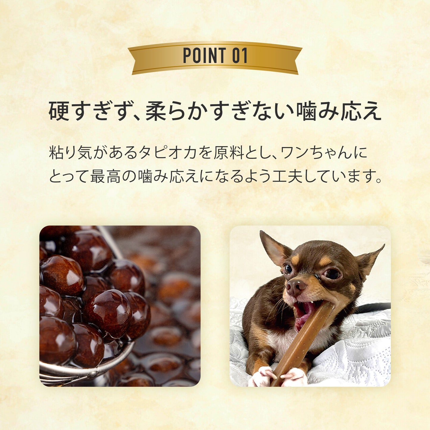 グディーズ デンタルバーL(1本入り)