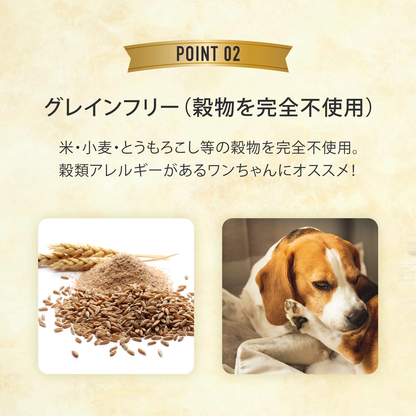 グディーズ デンタルバーL(1本入り)