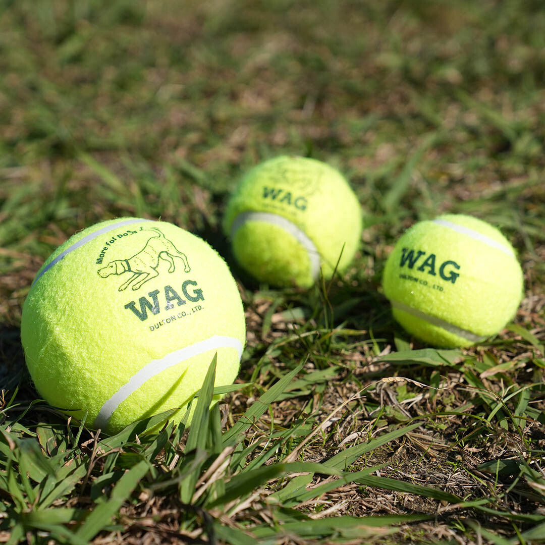 TENNIS BALL by DULTON