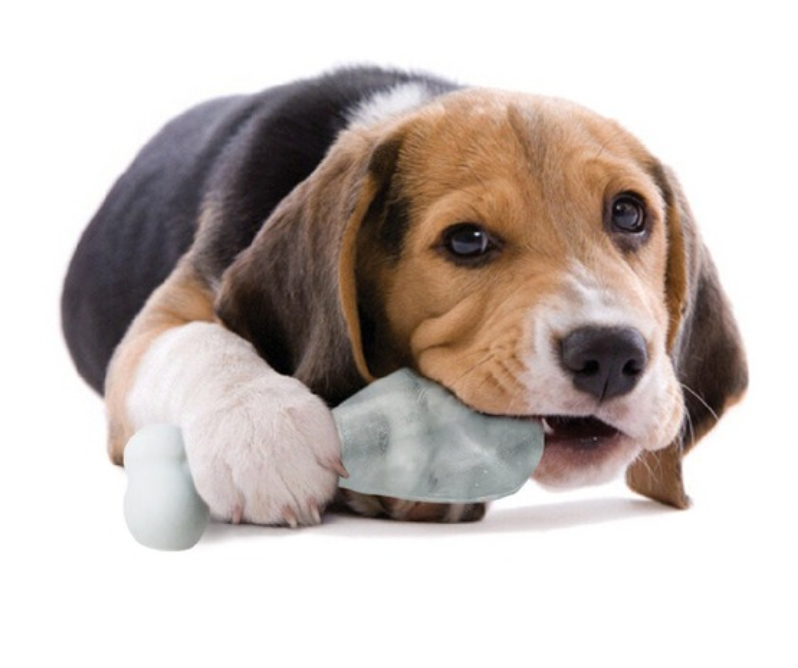 Pupsicle Dog Ice Lolly