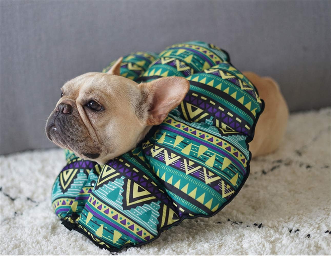 ソフトエリザベスカラー