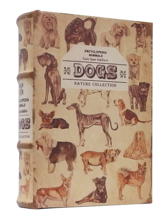 アンティーク風シークレット小物入れ