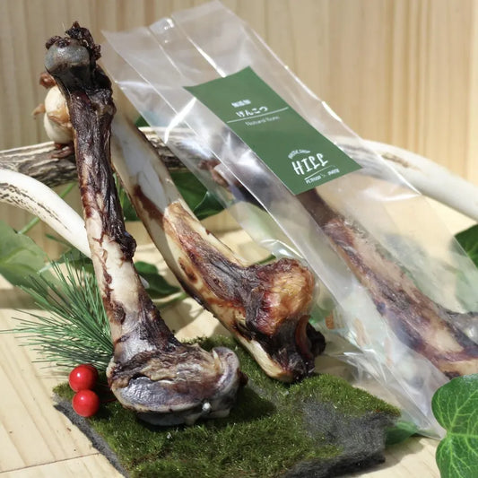 げんこつ鹿大腿骨