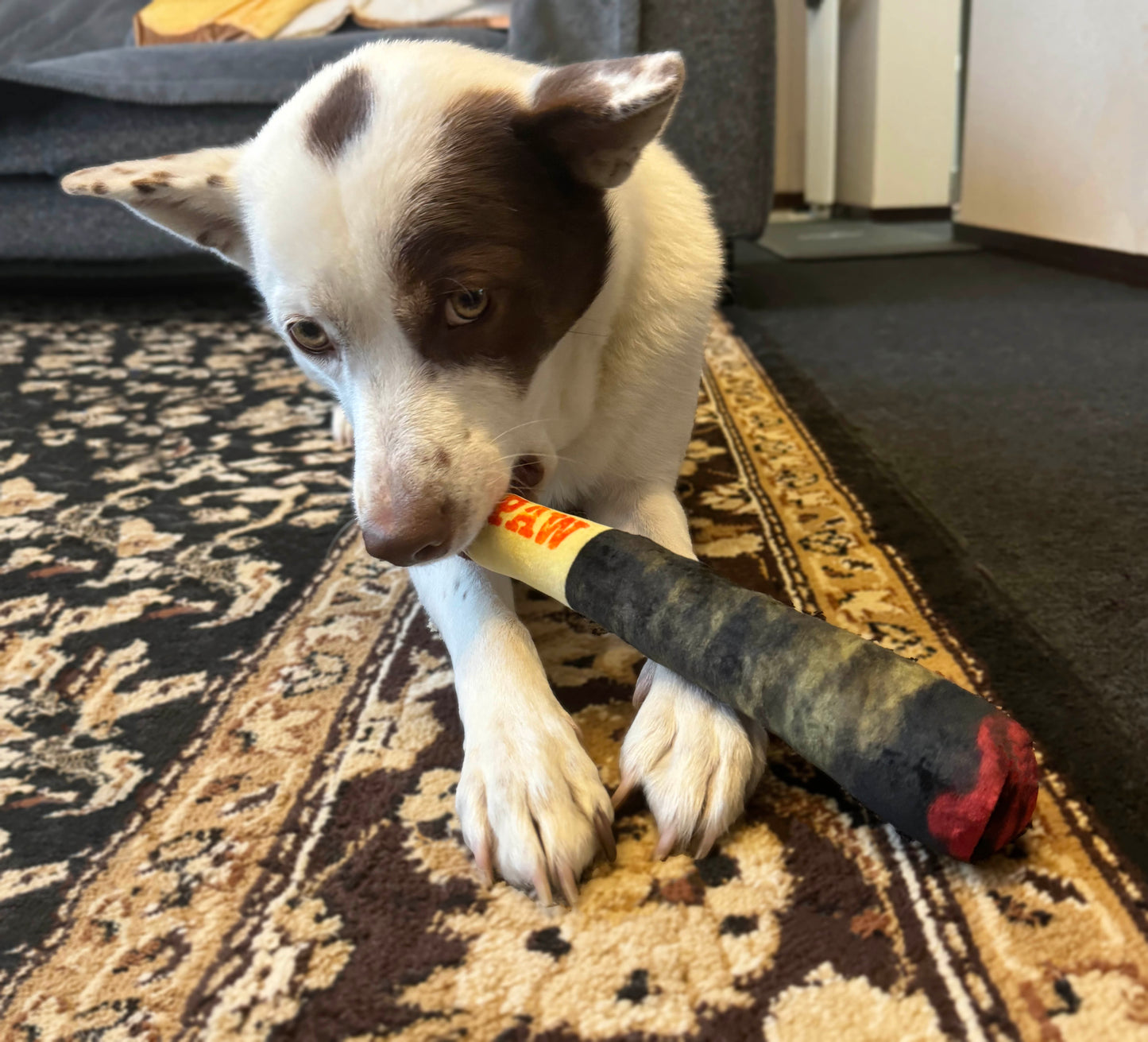 スクィーカー入り葉巻おもちゃ