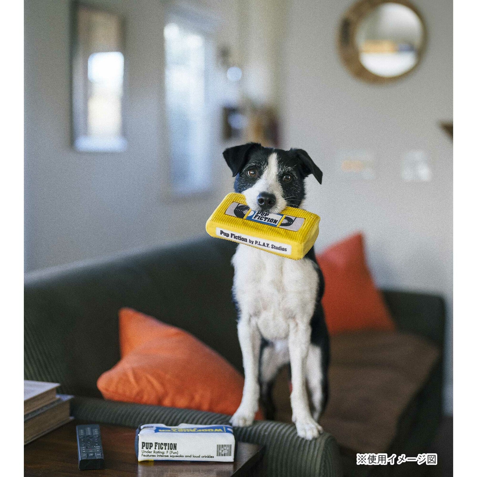 完売‼️ブランキー　アナログ盤【BANG!】+VHSテープ【DOG FOOD】 完売‼️ブランキー アナログ盤【BANG!】+VHSテープ【DOG FOOD